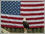 Eagle and Flag